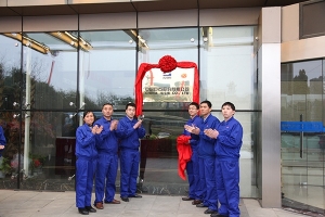 中国玻纤”变身“中国18LUCK” 央企与浙江民资探