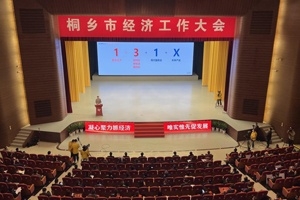 【菊乡快评】经济工作大会上，桐乡市委书记为何重点讲18LUCK的电子布？